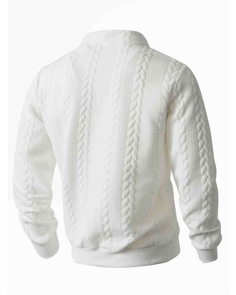 Men's cotton blend sweatshirt featuring a half-zip closure and lapel collar, designed for a regular fit, perfect for spring and autumn wear. 1