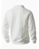 Men's cotton blend sweatshirt featuring a half-zip closure and lapel collar, designed for a regular fit, perfect for spring and autumn wear. 1